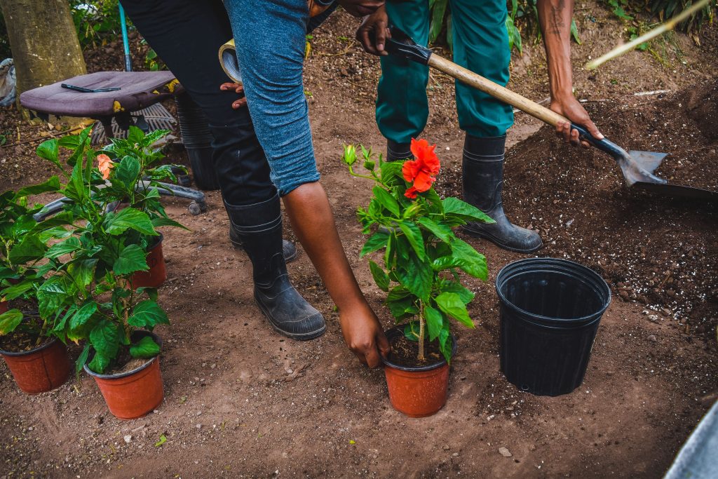 Gardeners planting seedlings