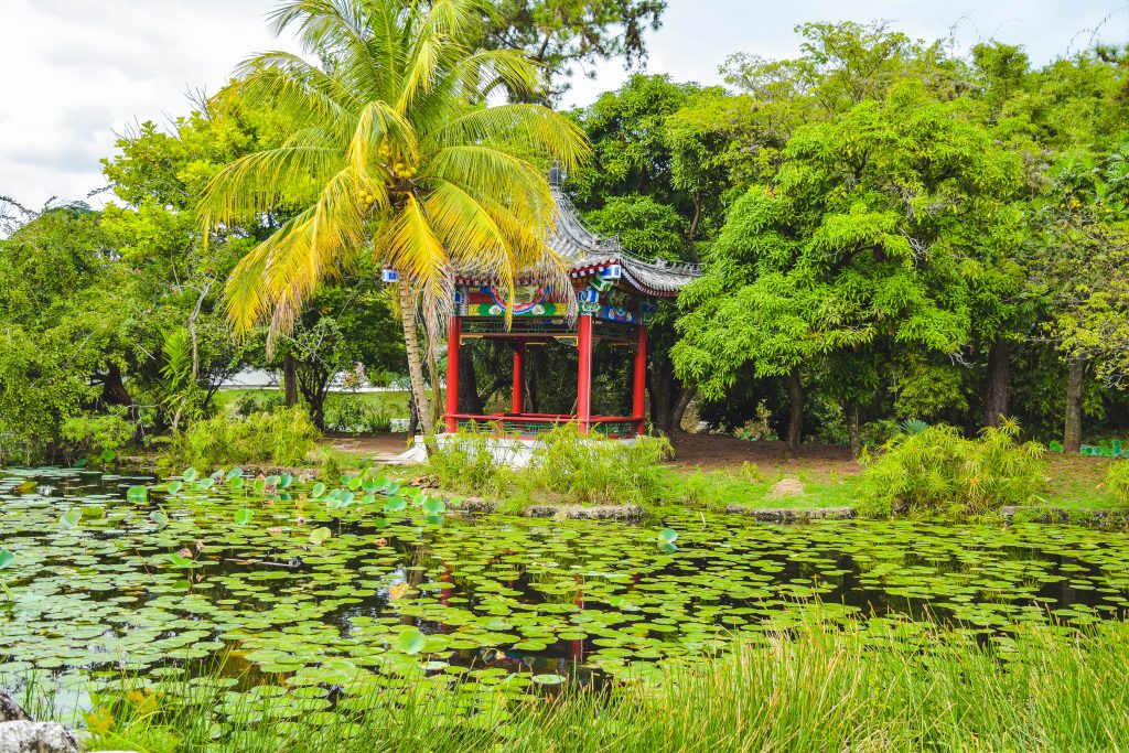 Lily pond below the Chinese pavilion