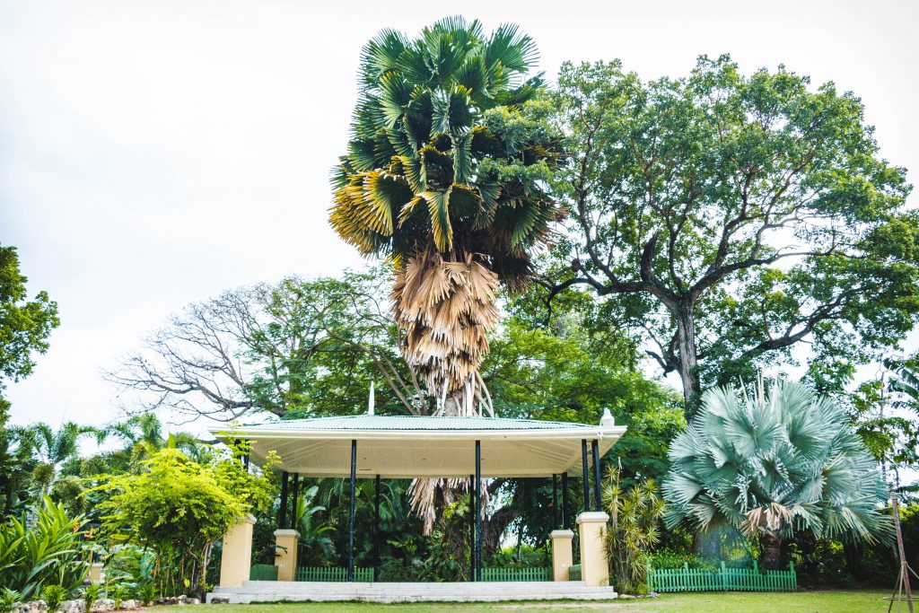 The bandstand under palms