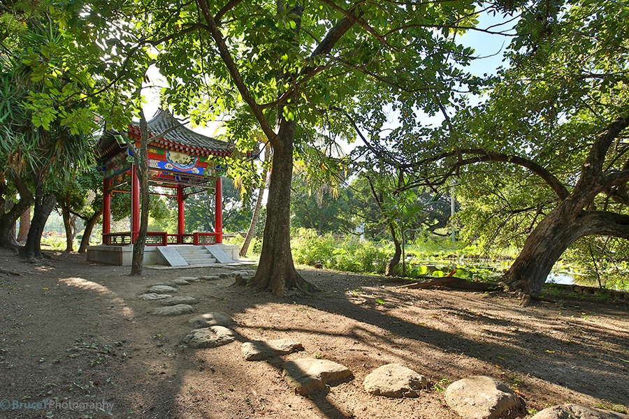 Chinese Garden