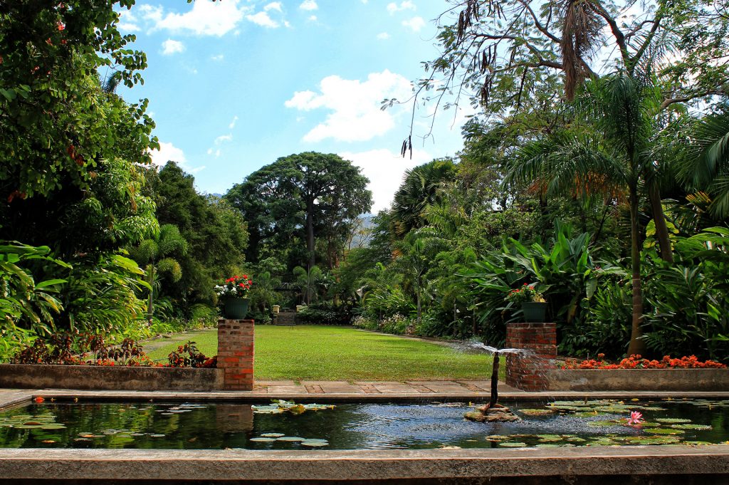 Sunken Garden