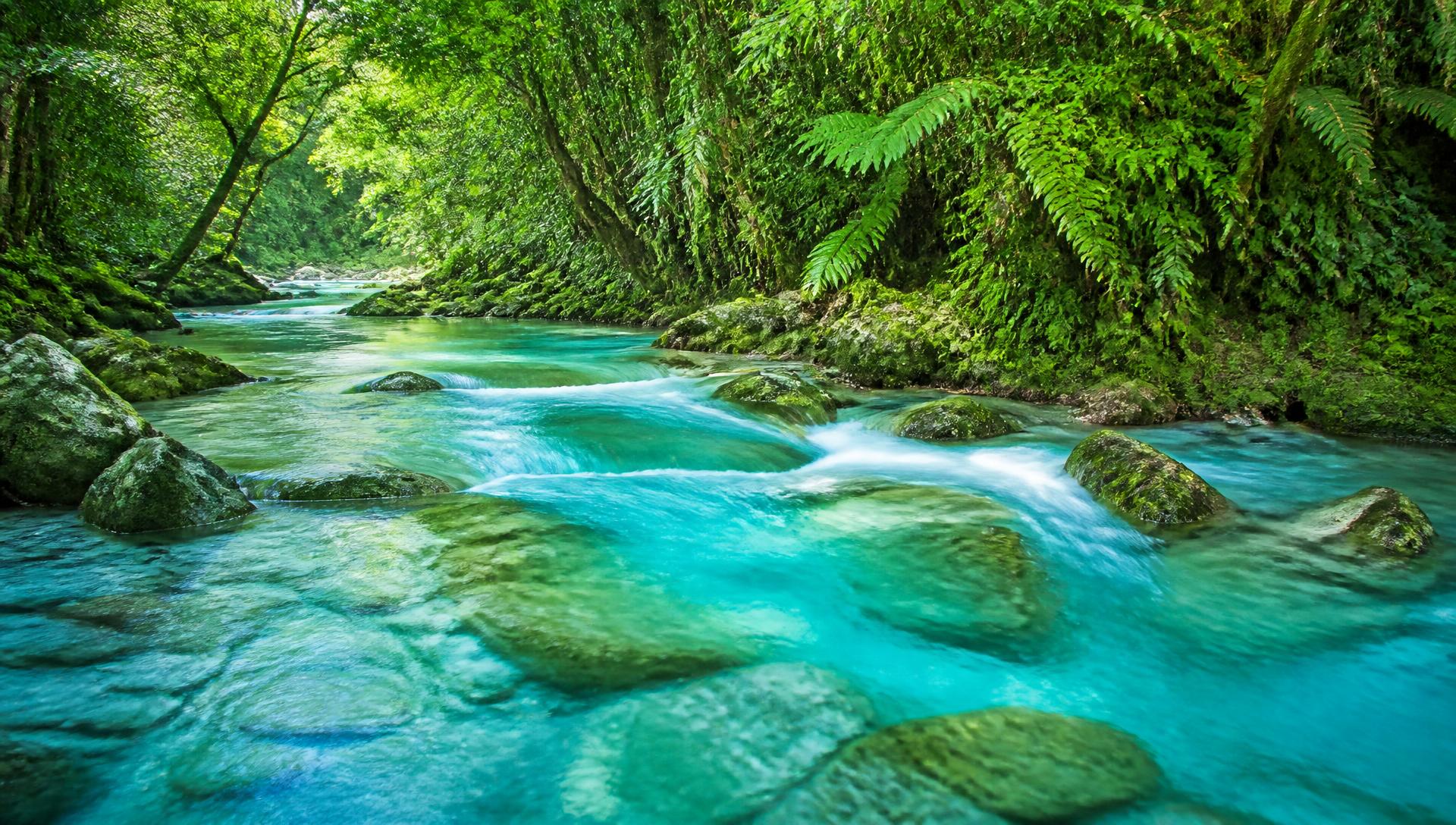 Water & irrigation restoration